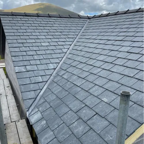 Recent roof project